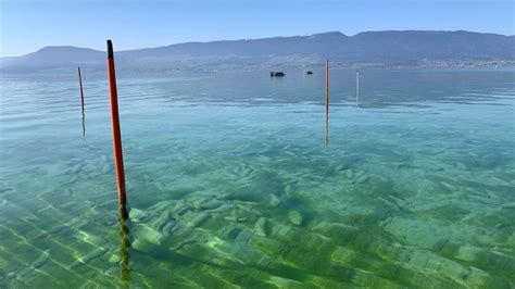 how to remove weapons in warframe|Switzerland dumped munitions in its lakes. Now it’s offering .